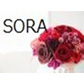 SORA(ソラ)